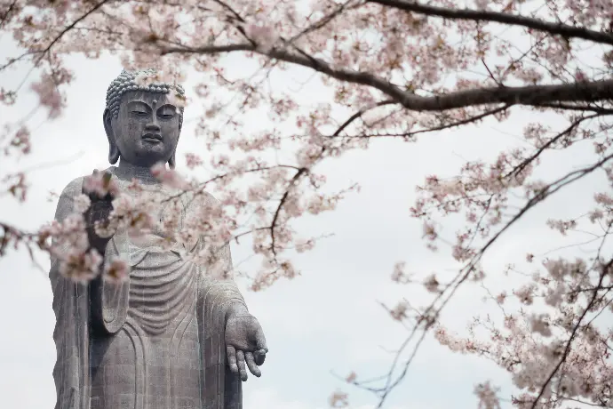 a statue of buddha surrounded by cherry blossoms